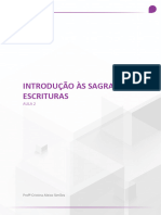 Introdução Às Sagradas Escrituras AULA 2