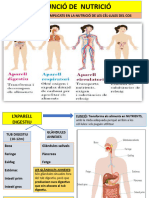 Ud3. Funció Nutrició