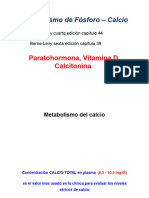 Metabolismo P CA