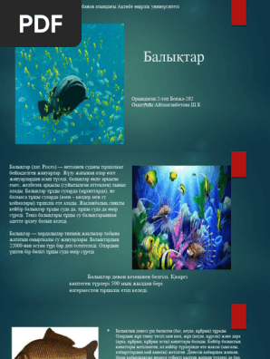 Excalibur: секс мырзалары 1