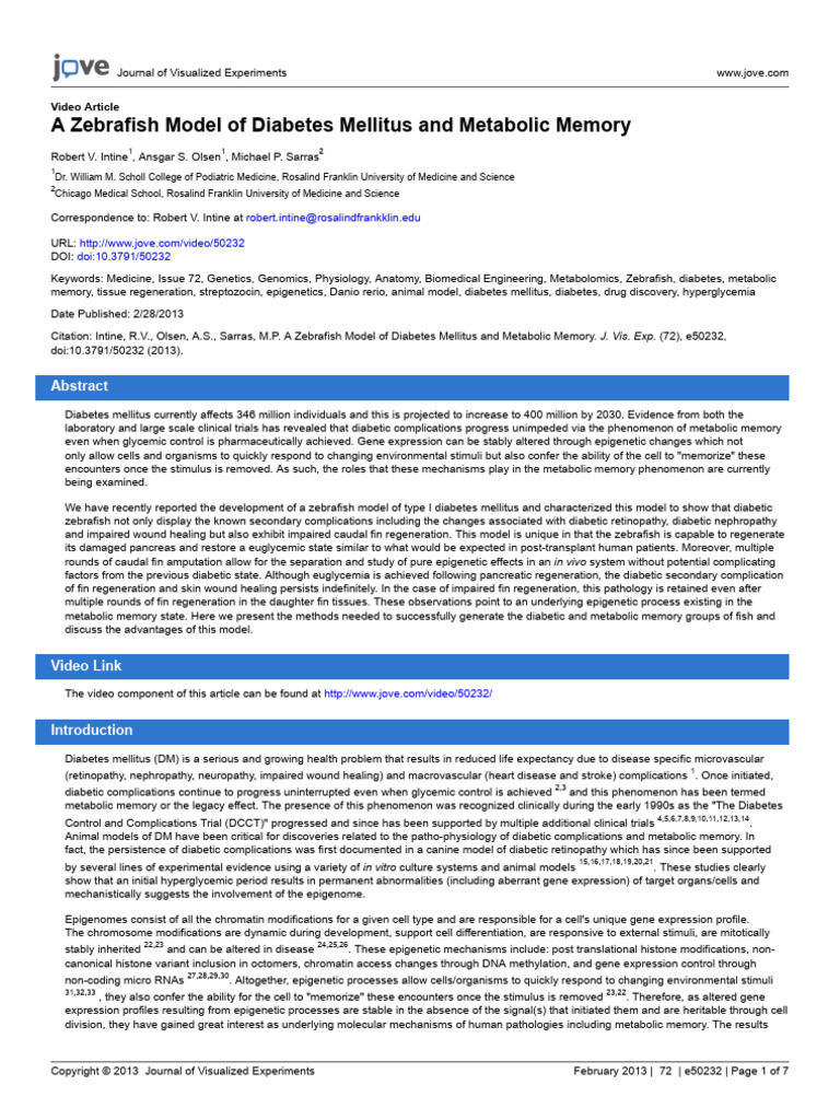 Zebrafish Model of Diabetes Mellitus and Metabolic Memory | Download ...