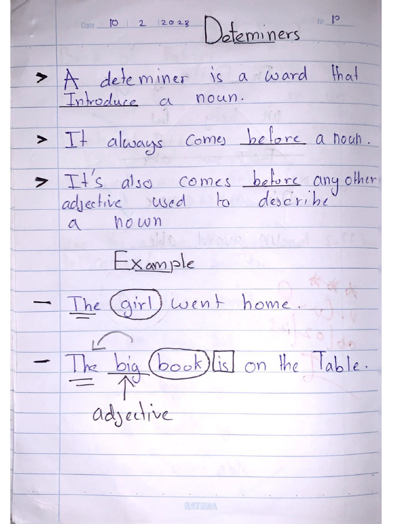 English Language Determiner Notes | PDF