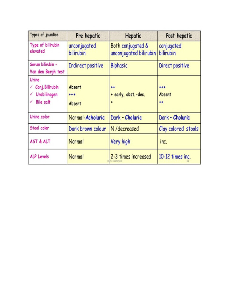 Bilirubin pdf