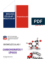 Biomoleculas Parte 1 Carbohidratos y Lípidos