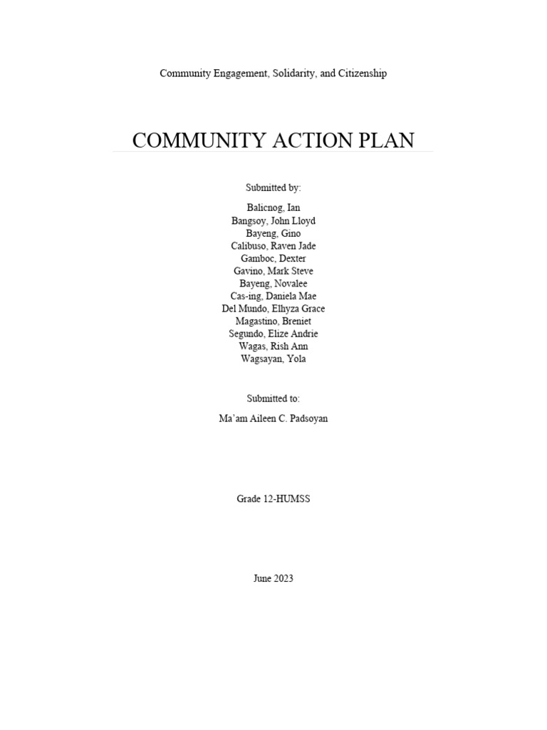 Community Action Plan 22222 | PDF | Paintings | Experience