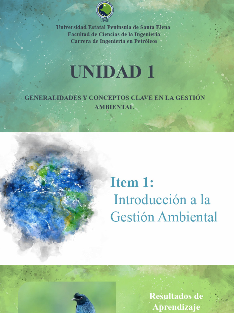 Gestion Ambiental Item 1.1 | PDF | Entorno natural | Sustentabilidad