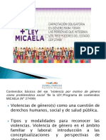 3 - Diapositivas Capacitación V.G.Ley Micaela