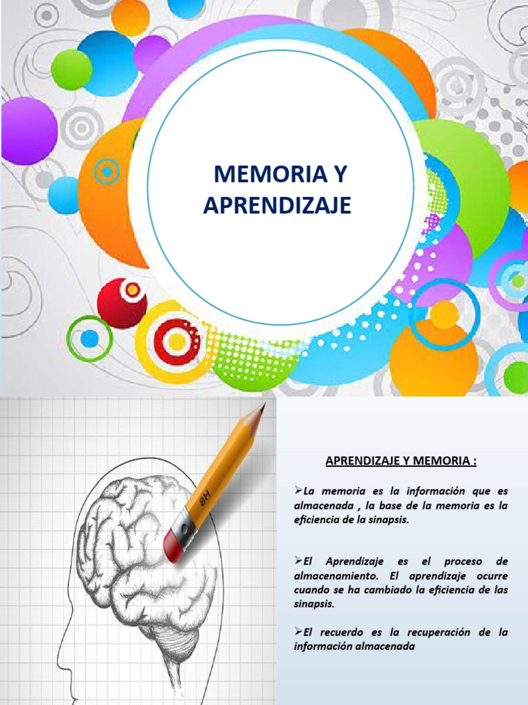 MEMORIA Y APRENDIZAJE Apuntes | PDF | Memoria | Aprendizaje