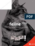 Feline panfleto