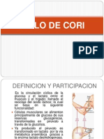 Ciclo de Cori