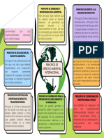 Mapa Conceptual PRINCIPIOS D. AMBIENTAL INTERNACIONAL