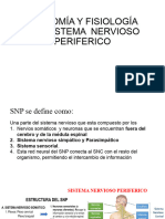 Anatomía y Fisiología Del Sistema Nervioso Periferico