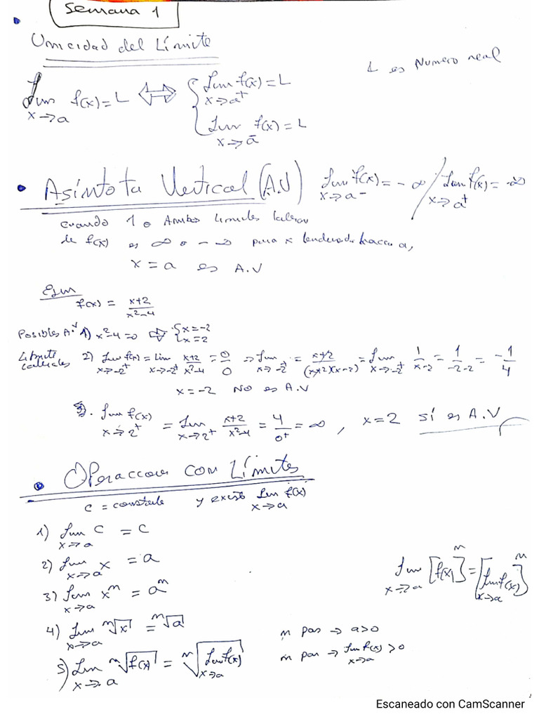 Resumen 3 Semanas Cal 1 | PDF