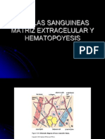 Celulas Sanguine As Matriz Extracelular y Hematopoyesis