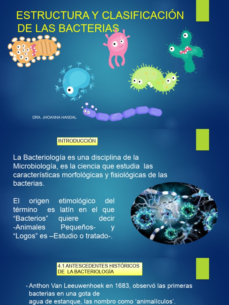 Tema 3 - Estructura y Clasificacion de Las Bacterias | PDF | Las ...