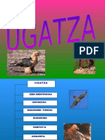 Itsasne Maeztu Ugatza