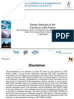 Design Selection of The Cameroon LNG Project
