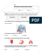 Propuesta Prueba Cn2° Organos