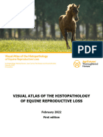 Visual Atlas Histopathology
