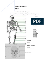 CarnainBairachmaM BSNYA13 SkeletalSystem