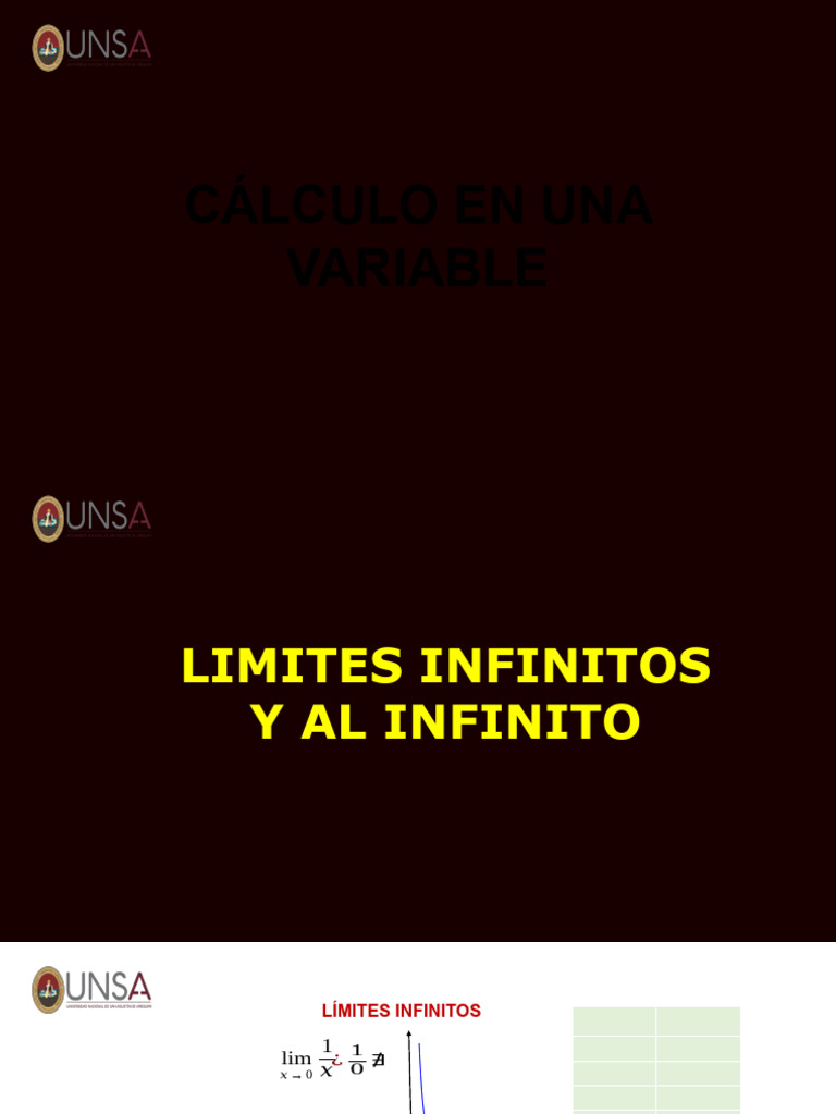 Limites Infinitos y Al Infinito | PDF | Asíntota | Álgebra abstracta