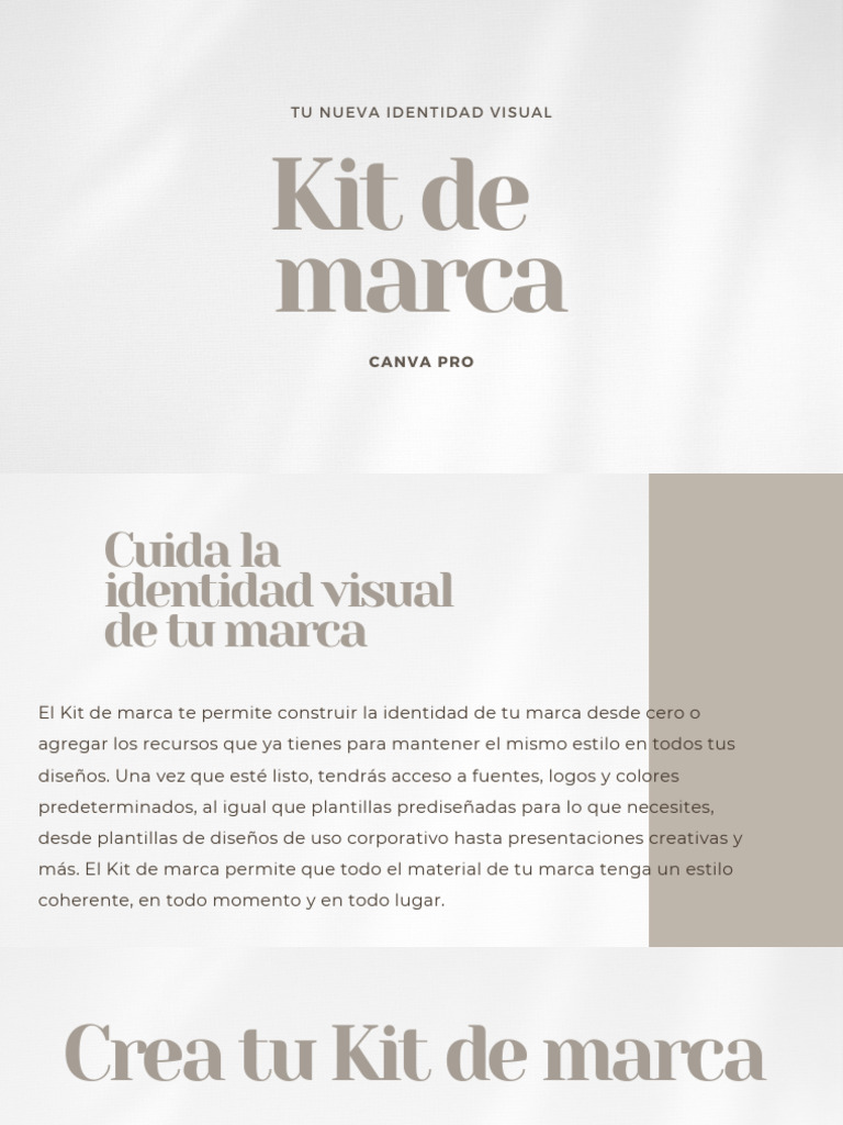 Kit de Marca en Canva Pro: Tu Identidad Visual | PDF | Arte