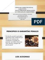 PRINCIPIOS GARANTISTAS DEL DERECHO PENAL 2023 (1)