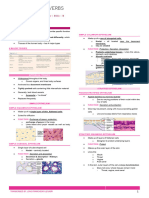 L3_TISSUES