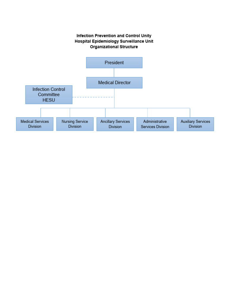 Org Chart Pdf