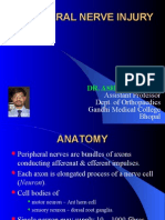 Peripheral Nerve Injury1