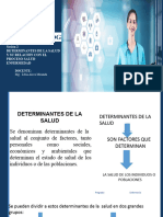 3. Material Informativo. Sesion 3 Ppt Determinantes de La Salud -02