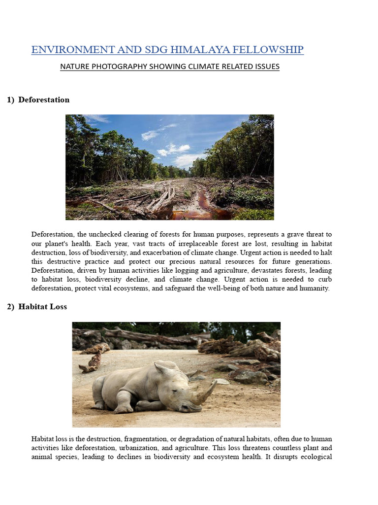 Environment and SDG Himalaya Fellowship | PDF | Habitat Destruction ...