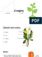 Stavba-Kvetu Final | PDF