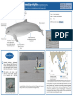 Irrawaddy Dolphin A4 Factsheet