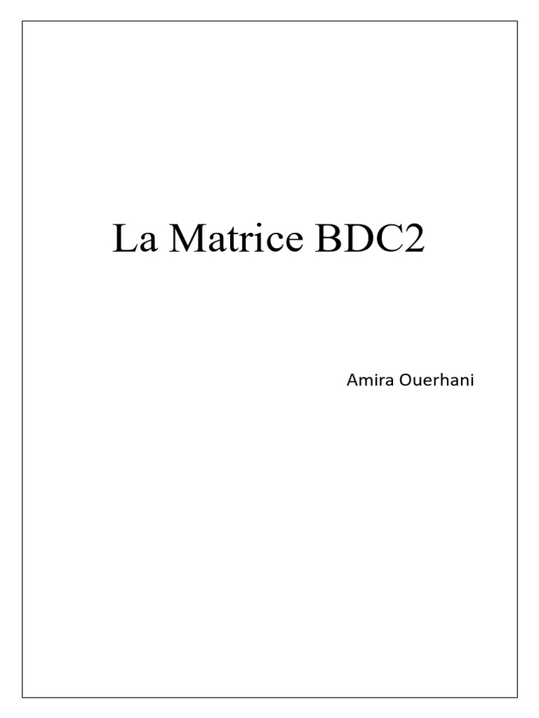 Analyse de la Matrice BCG2 | PDF | Économie