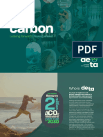 DETA Carbon Strategy and Roadmap