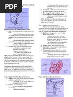 SCIENCE 3RD QUARTER - Repoductive System