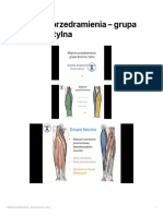Mięśnie Przedramienia - Grupa Boczna I Tylna