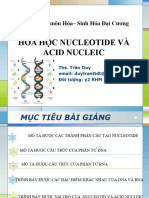 BÀI 6 - HOÁ HỌC ACID NUCLEIC