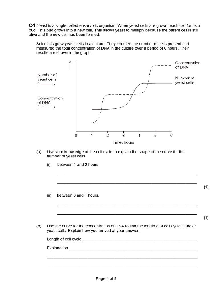 Mitosis Student Version Pdf Mitosis Cell Cycle