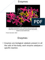 Lecture 6 - Enzymes