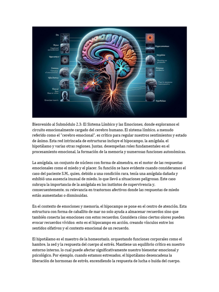 2.3 - El Sistema Límbico y Las Emociones | PDF | Las emociones ...