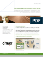 ThinstallVirtualizedCitrixDatasheet_V1Feb06