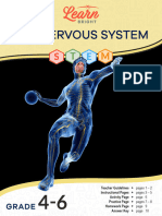 Nervous-System-STEM