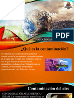 La Contaminación Ambiental