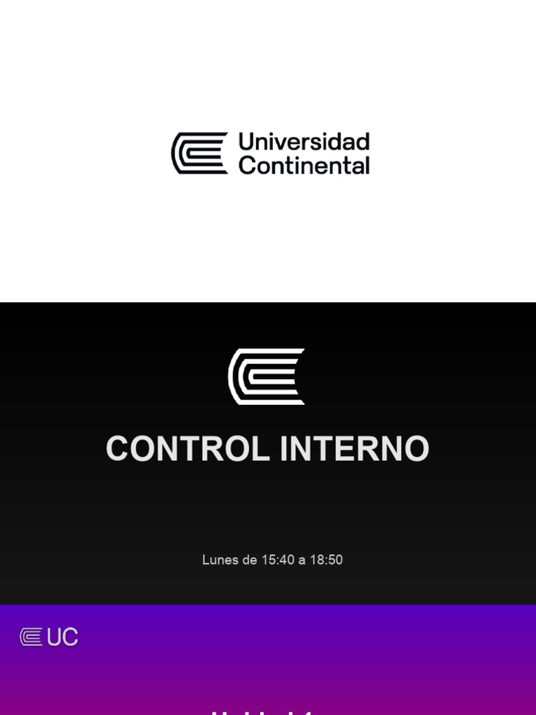 Control Interno y Gestión de Riesgos | PDF | Riesgo | Business