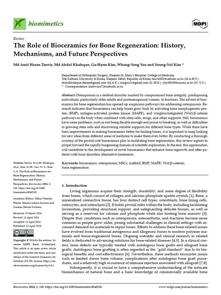 the-role-of-bioceramics-for-bone-regeneration-history-mechanisms-and ...