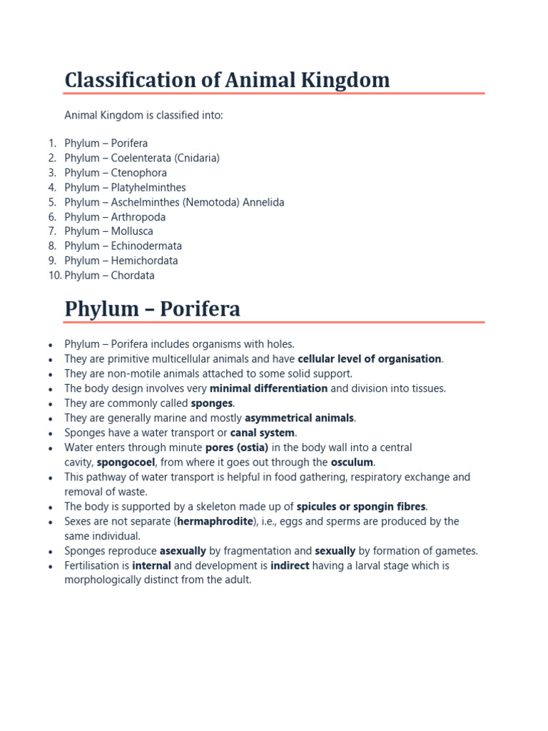 Classification of Animal Kingdom PDF Vertebrates Sponge