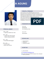 CV Sultan PDF