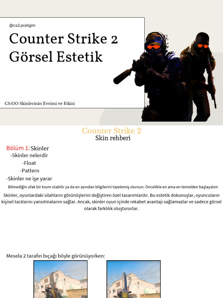 Counter Strike 2 | PDF